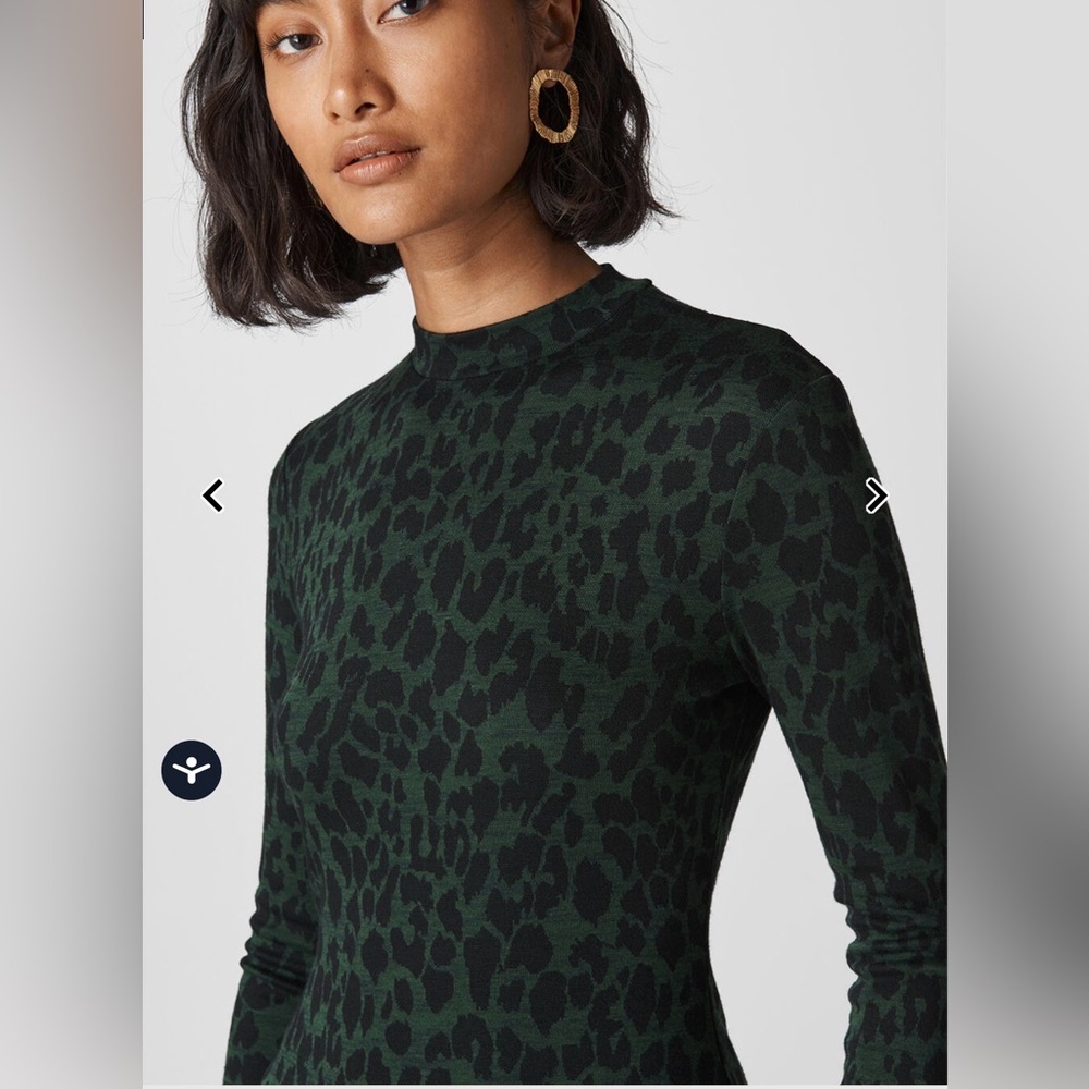 Philosophy Dark Green Long Sleeve Dress - Picture 4 of 4
